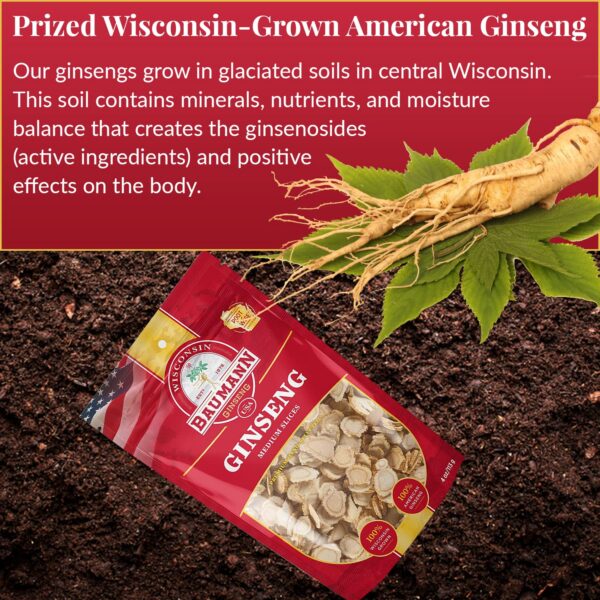 Version 1.0.0 Raíz de ginseng Panax de Wisconsin Baumann calidad premium