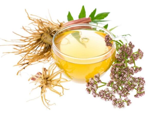 preparación-té-valeriana-nature-tea