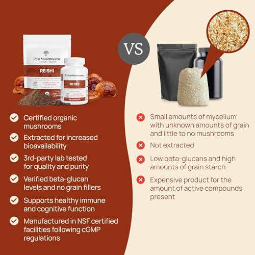 Version 1.0.0 Real-Mushrooms-polvo-para-batidos-y-té