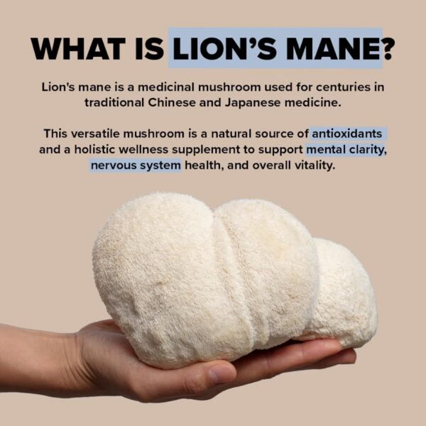 Refuerzo inmunológico natural melena de León