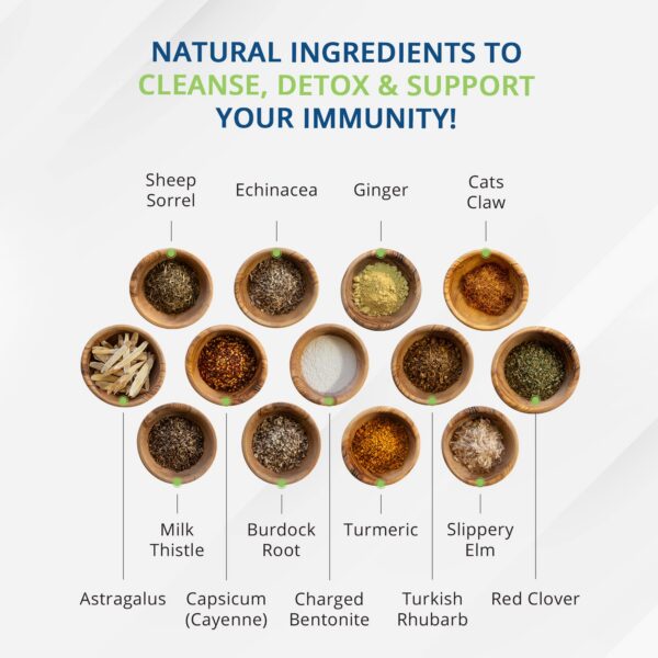 Version 1.0.0 Renova té orgánico detox sin cafeína para limpieza diaria