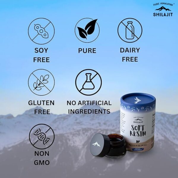 Version 1.0.0 Resina natural para energía e inmunidad Shilajit Himalaya Pure