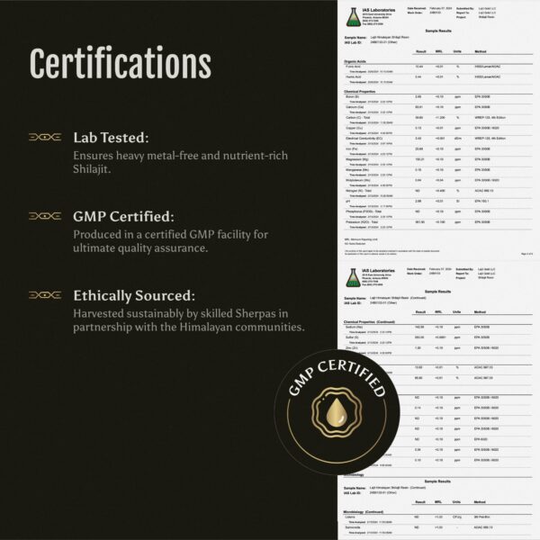 Resina pura de Shilajit Himalaya 20 gramos Lajit