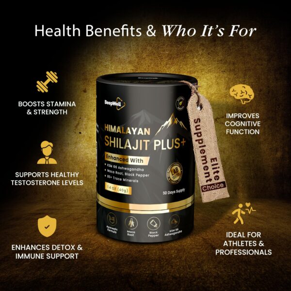 Version 1.0.0 Resina Shilajit pura con minerales y adaptógenos naturales