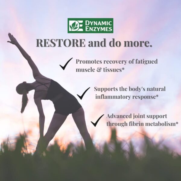 Restore ACTIV contenido interior