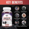 Detalle de ashwagandha y cúrcuma en Shilajit Gummies