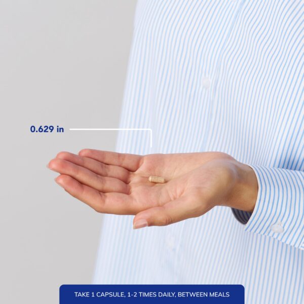 Version 1.0.0 Frasco con 90 cápsulas