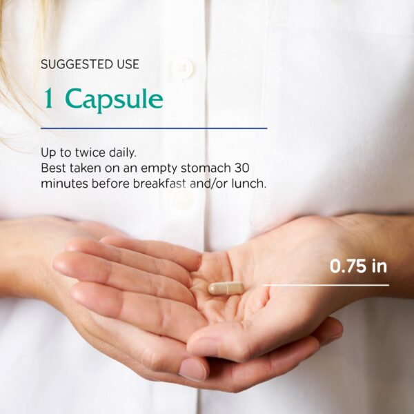 Rhodiola Vitanica cápsulas veganas para energía mental