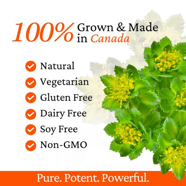 Tabla de composición en etiqueta de Rhoziva Digest