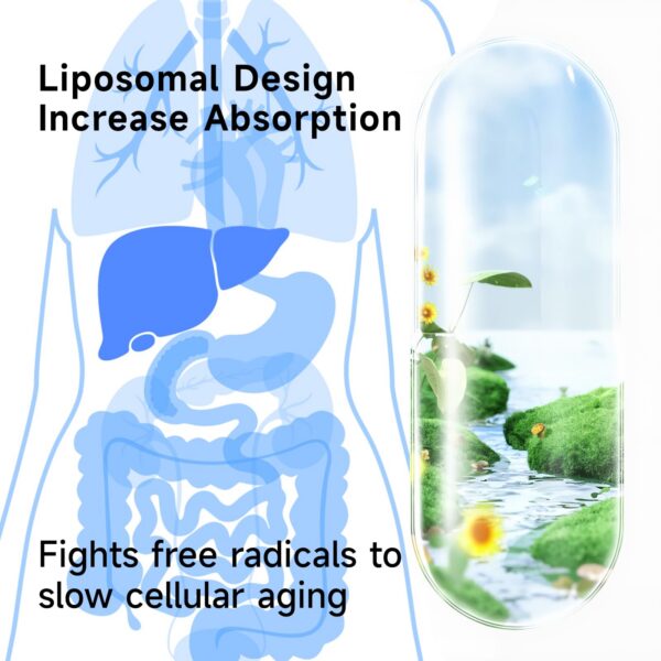 Frasco de cápsulas RimTuku luteolin