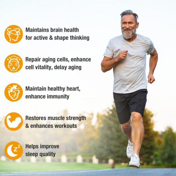 Version 1.0.0 Vista trasera de la caja