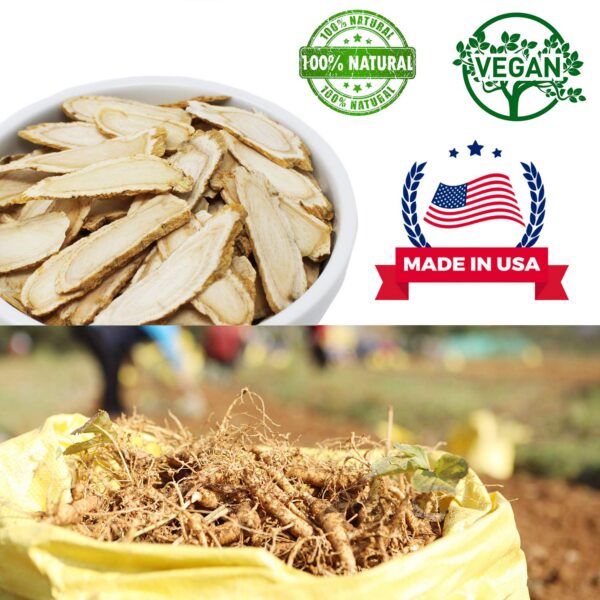 Rodajas raíz ginseng americano para energía y memoria