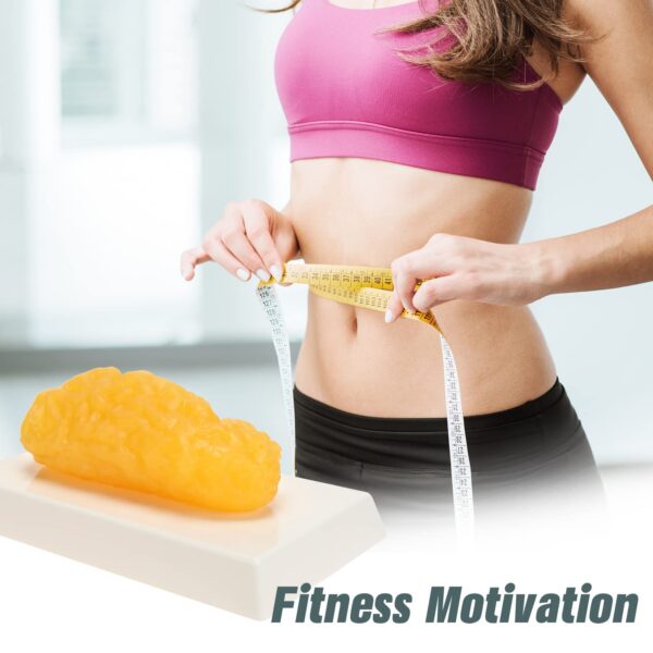 Vista lateral del modelo de grasa