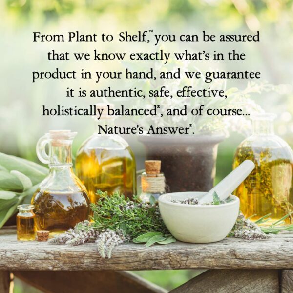 Version 1.0.0 Envase grande suplemento Nature's Answer mirra resina