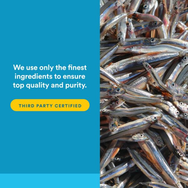 Detalle de etiqueta e ingredientes