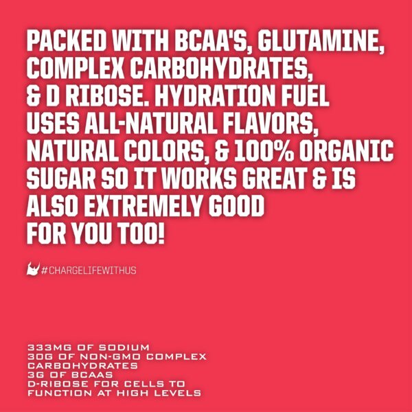 Version 1.0.0 Ryno Power Hydration BCAA y glutamina