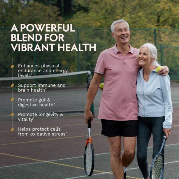 Sabor y composición mezcla dorada polvo de hongos orgánicos