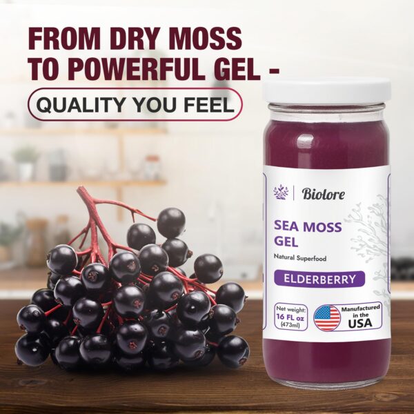 Sabores bayas de saúco y mango piña