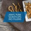 Sacos de polvo Cordyceps CS-4 para uso diario