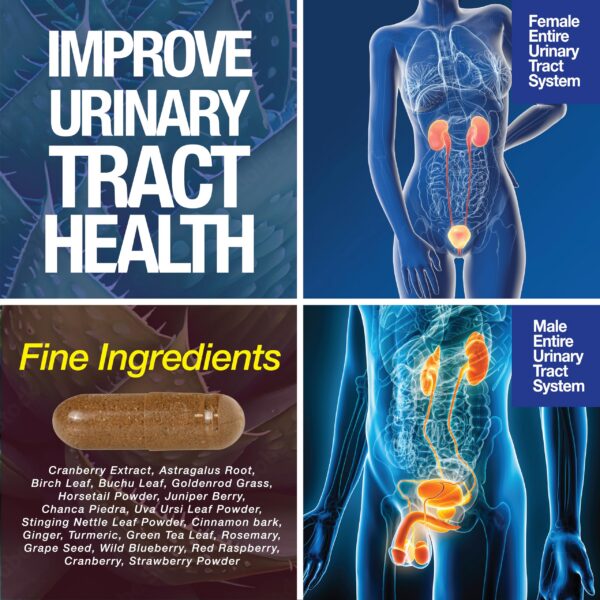 Cápsulas para salud de la vejiga y sistema urinario