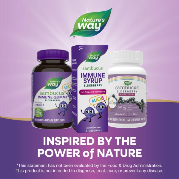 Sambucus Elderberry jarabe para niños de Nature's Way 8 Fl Oz