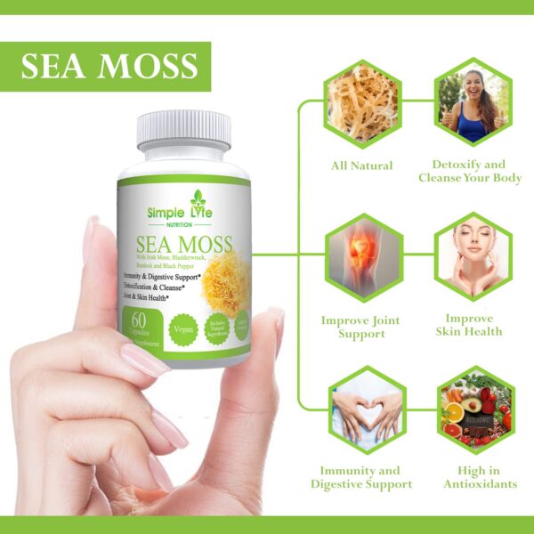 Composición de ingredientes Sea Moss