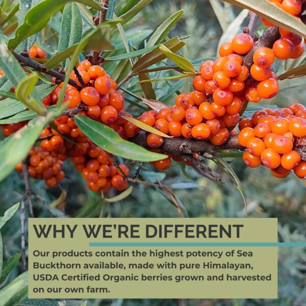 Detalles de Omega 3, 6 y 9 en frasco