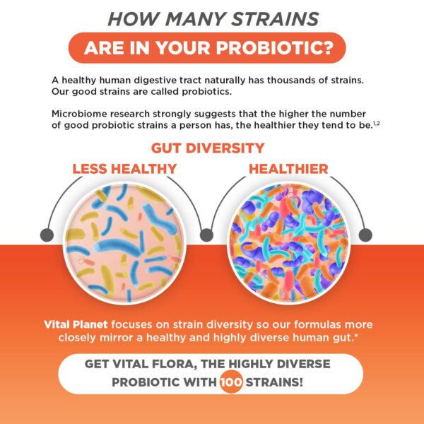 Vital Planet suplementación para molestias digestivas ocasionales