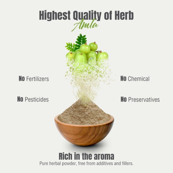 Sello natural y vegano de polvo de amla Herbsforever