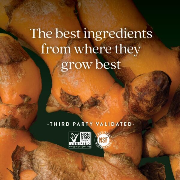 Envase suplementario cúrcuma New Chapter para 2 meses