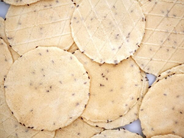 Semillas de psilio orgánicas en empaque grande a granel