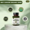 Set de variedad de tabletas alfalfa Organic Spree