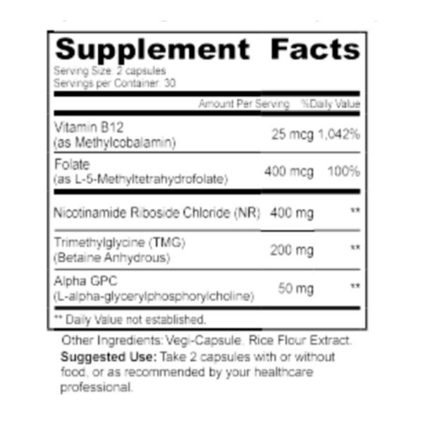 Vista lateral de la caja SHED NAD+