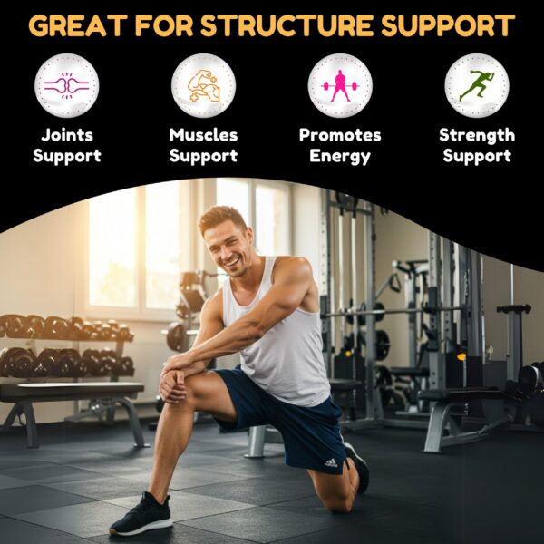 Certificaciones ISA y GMP