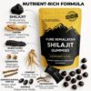 Version 1.0.0 Etiqueta SHILAHEAL Shilajit detalle