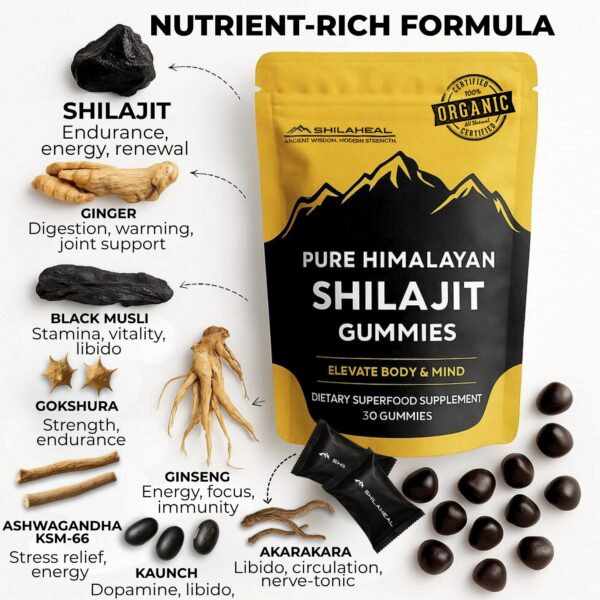 Version 1.0.0 Etiqueta SHILAHEAL Shilajit detalle
