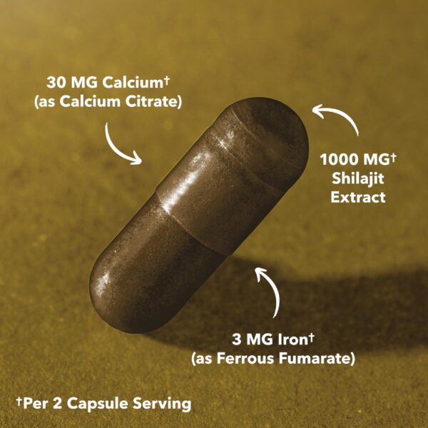 Caja de Shilajit HAVASU NUTRITION