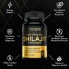 Shilajit Himalayo cápsulas con beneficios antioxidantes y adaptógenos