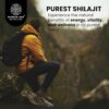 Version 1.0.0 Shilajit premium ayurvédico para energía y resistencia natural 120 cápsulas