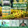 Version 1.0.0 Simhould gominolas mullein sin gluten