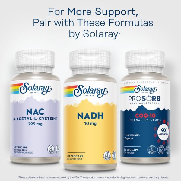 Version 1.0.0 Sin gluten, garantía de 60 días