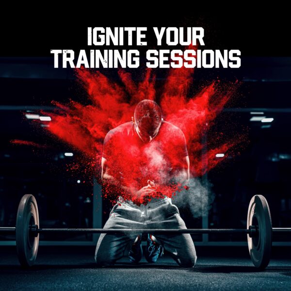 Version 1.0.0 Porciones y tapa de seguridad