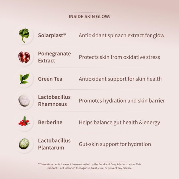 Version 1.0.0 Solarplast y otros ingredientes en diseño