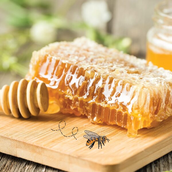 Suplemento Slide Ridge para salud digestiva de abejas