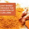 Smarter Nutrition cápsulas curcumina antioxidante y apoyo inmune