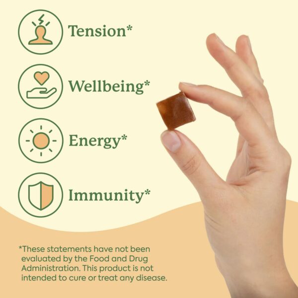 Snack saludable de chocolate y hongos