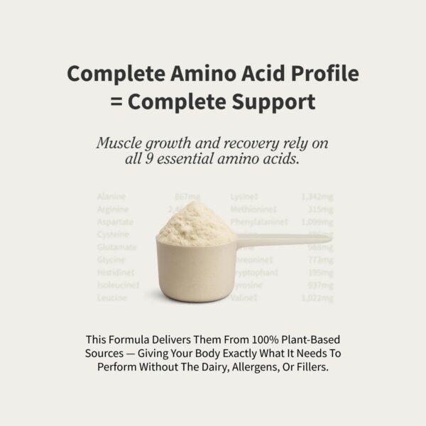 Foto del polvo en un tazón