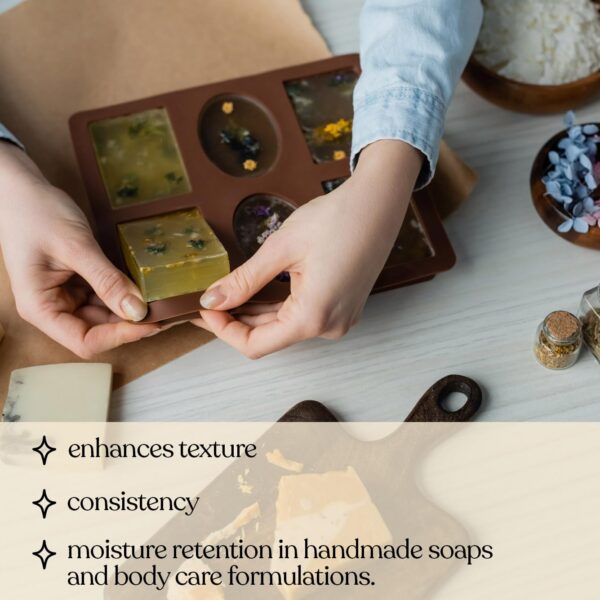 Version 1.0.0 Emulsiones de Lecithin girasol Soapeauty