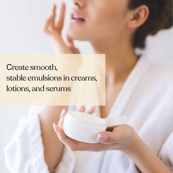 Version 1.0.0 Cosmetica con lecithin girasol Soapeauty