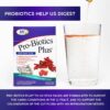 Sobres de Pro-Biotics Plus en mesa con ingredientes